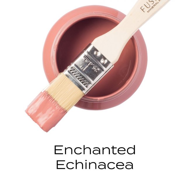 enchanted echinacea fusion