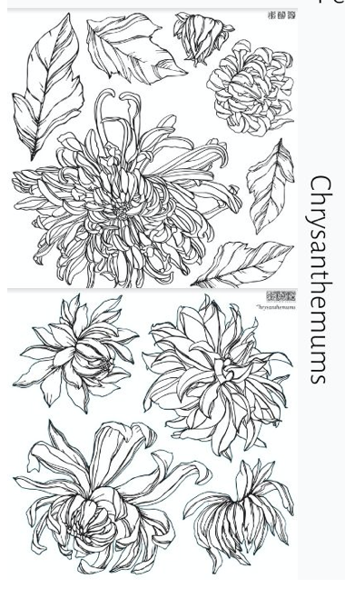 chrysanthemum stamp