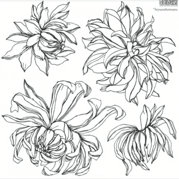 Screen Shot 2021 03 09 at 11.36.23 PM Chrysanthemum IOD Stamp