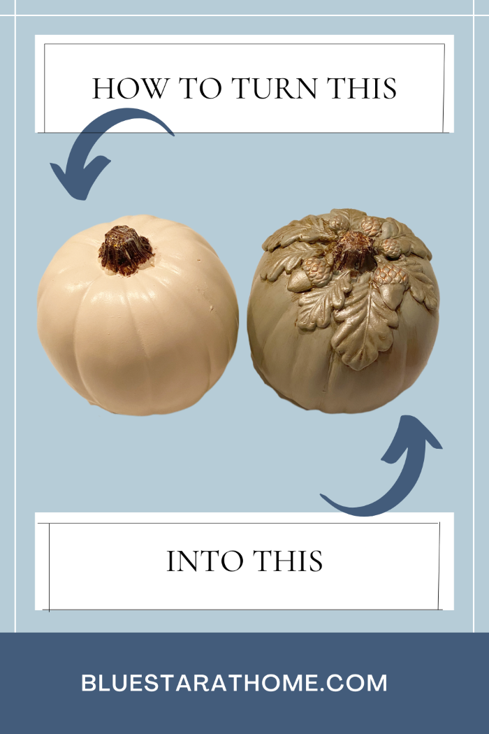 transform a pumpkin