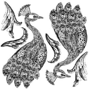 pavo peacock stamp