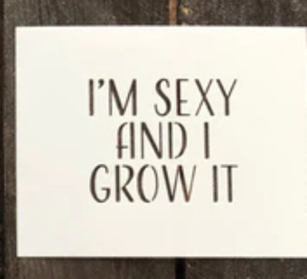 I'm Sexy and I Grow It stencil