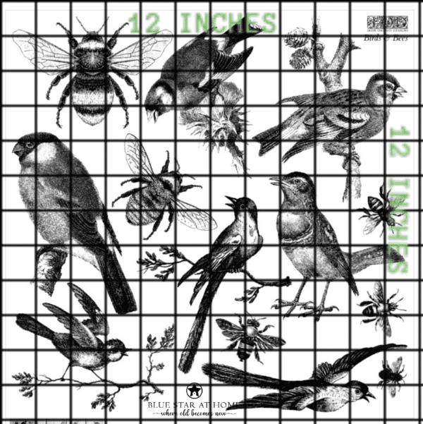 BIRDS AND BEES GRID