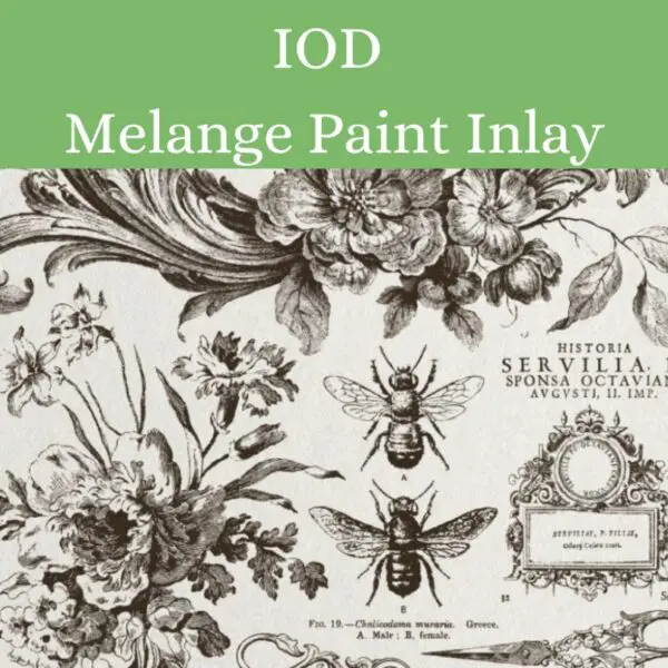 Melange Melange IOD Paint Inlay