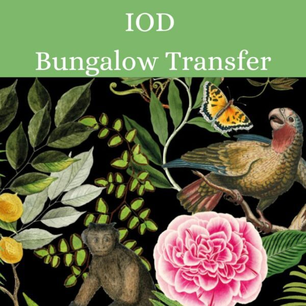 bungalow transfer Bungalow IOD Transfer