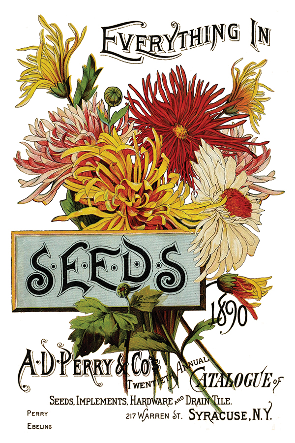 IOD TRA SEE page 1 Seed Catalog IOD Transfer - PREORDER