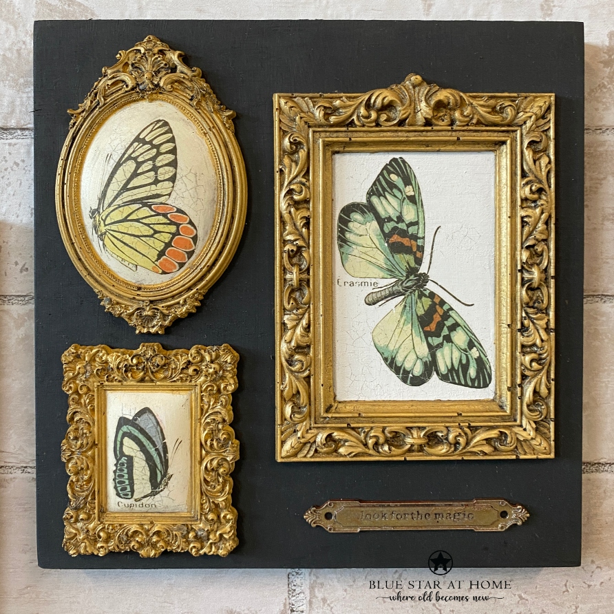 Butterflies from the Millot's Pages in Frames moulds