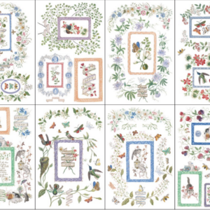 Emily Clare IOD Transfer