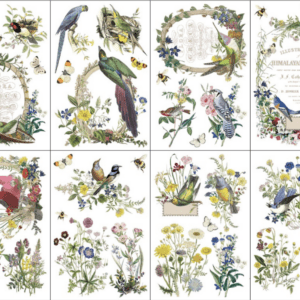 Flora Greca IOD Transfer